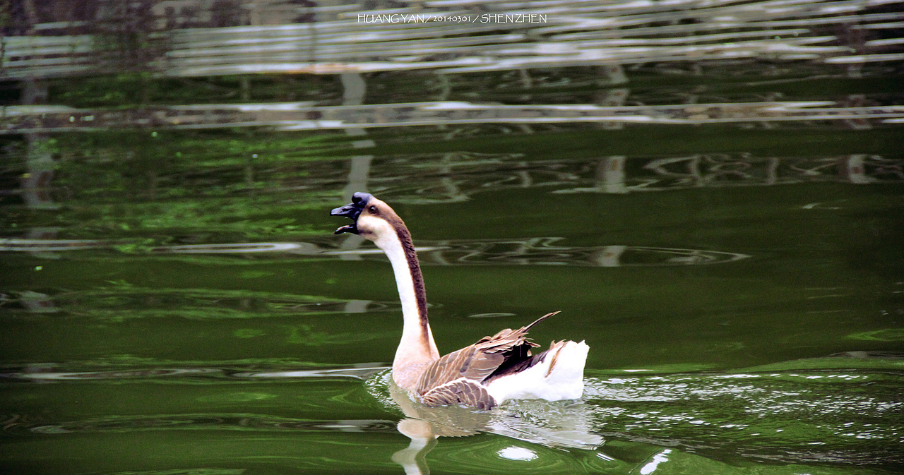 丰泽湖山庄碎片拍（图ZMjI2Mjk2ODA=） - 风光摄影 - 站酷设计师huangyan52406原创素材 - 站酷ZCOOL