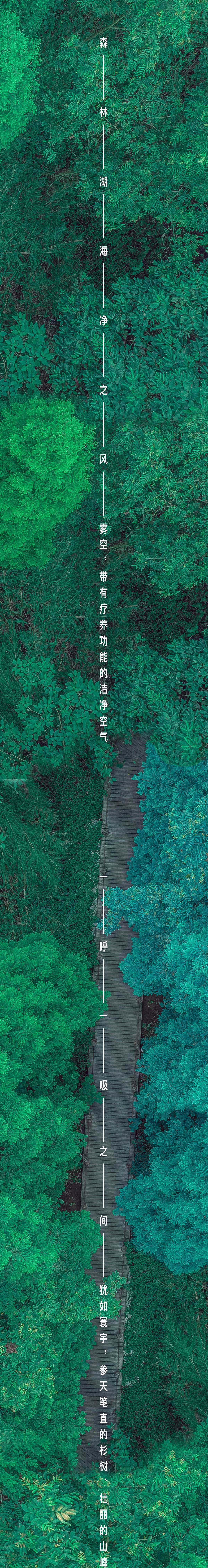 森林级空气净化长海报设计