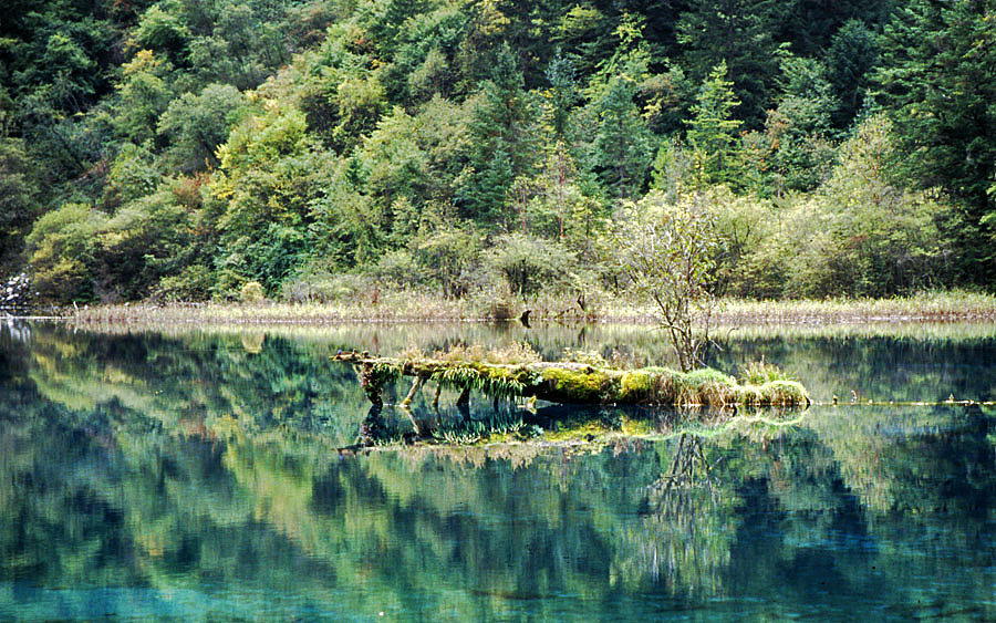 记忆中的九寨、黄龙（图ZNTQxNDQ4NA==） - 风光摄影 - 站酷设计师pigmantse原创素材 - 站酷ZCOOL