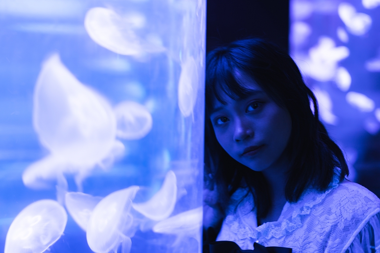 夏日 水族馆 与 海