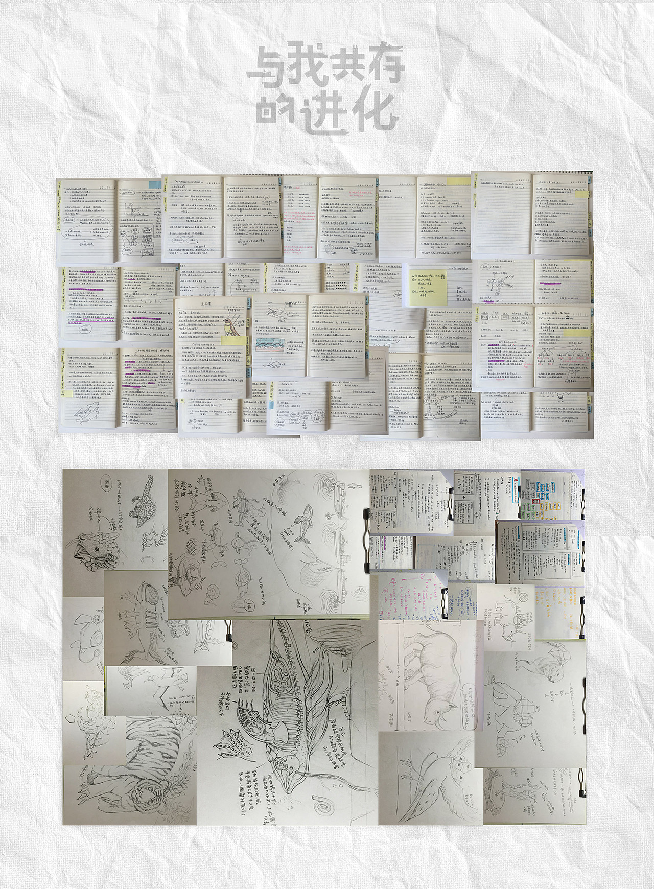 做足前期调研,尝试各种草图