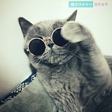 Lushan的头像