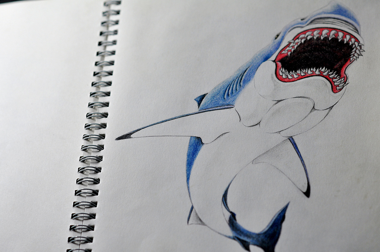 最近的幾個(gè)彩鉛練習(xí)（圖ZNDA4Mzg3Ng==） - 創(chuàng)作習(xí)作 - 站酷設(shè)計(jì)師劉越不愛用電腦原創(chuàng)素材 - 站酷ZCOOL