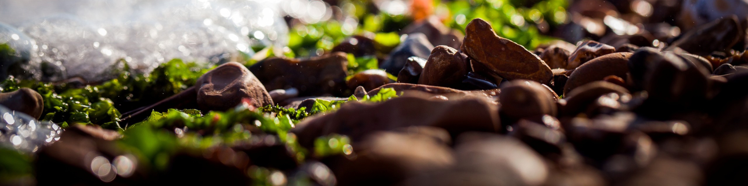 通欄設(shè)計(jì)師的個(gè)人主頁(yè)（封面預(yù)覽） - 主頁(yè)封面設(shè)置 - 站酷設(shè)計(jì)師通欄設(shè)計(jì)師原創(chuàng)素材 - 站酷ZCOOL