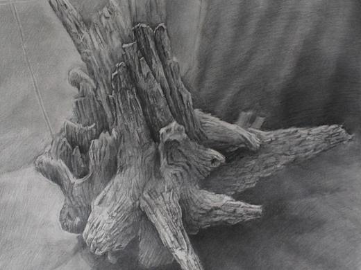 素描练习，大一时画的习作