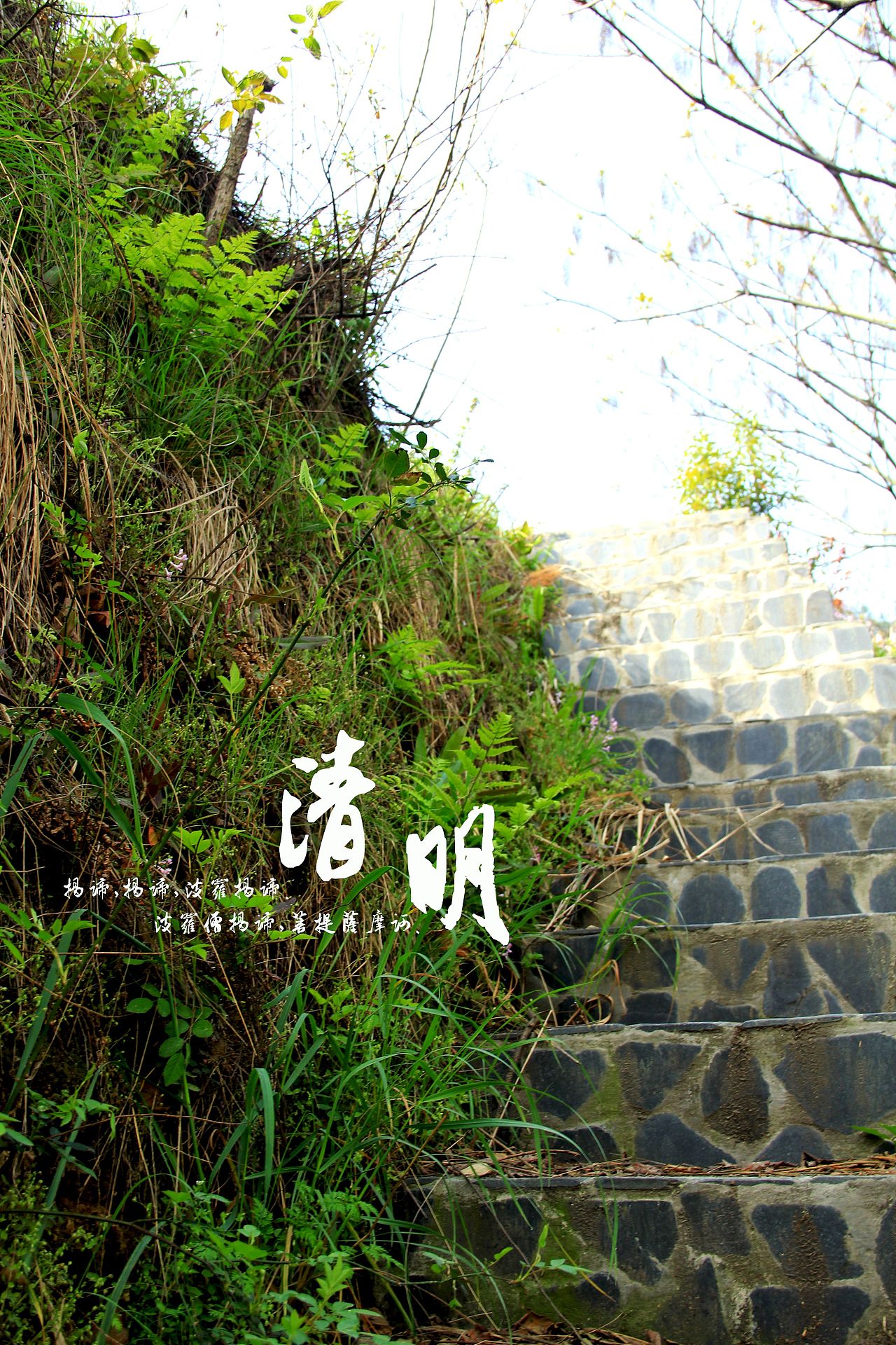 大桥下的石头（图ZODkzNDAwMA==） - 风光摄影 - 站酷设计师半道子原创素材 - 站酷ZCOOL