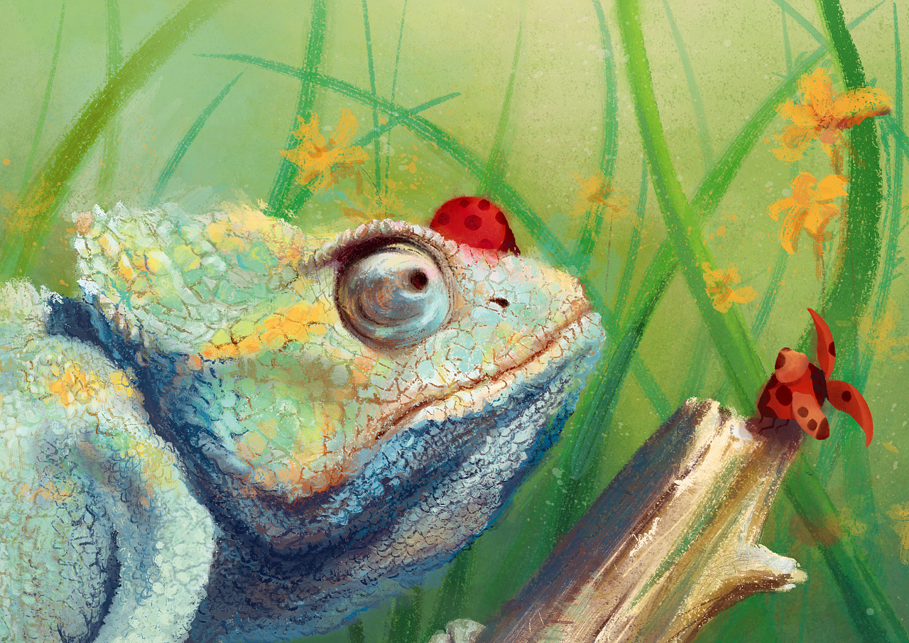 森林游记———蜥蜴