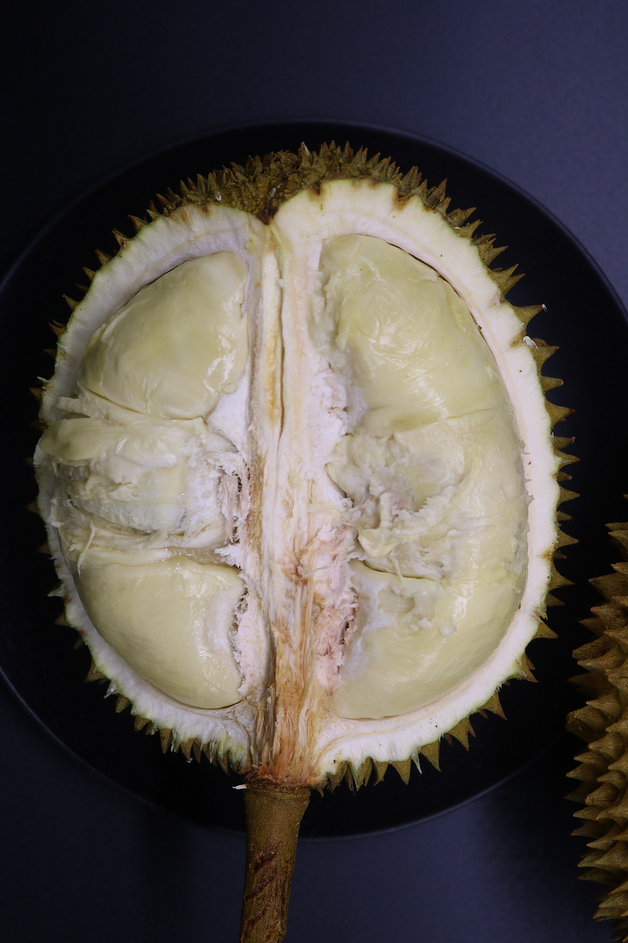 老男人果品老挝猫山王苦咖菲猫榴莲