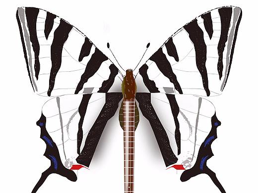 平面廣告設計（個人主頁-ZMjg2NzM2NjQ=） - 海報 - 站酷設計師Kimberley123原創(chuàng)素材 - 站酷ZCOOL