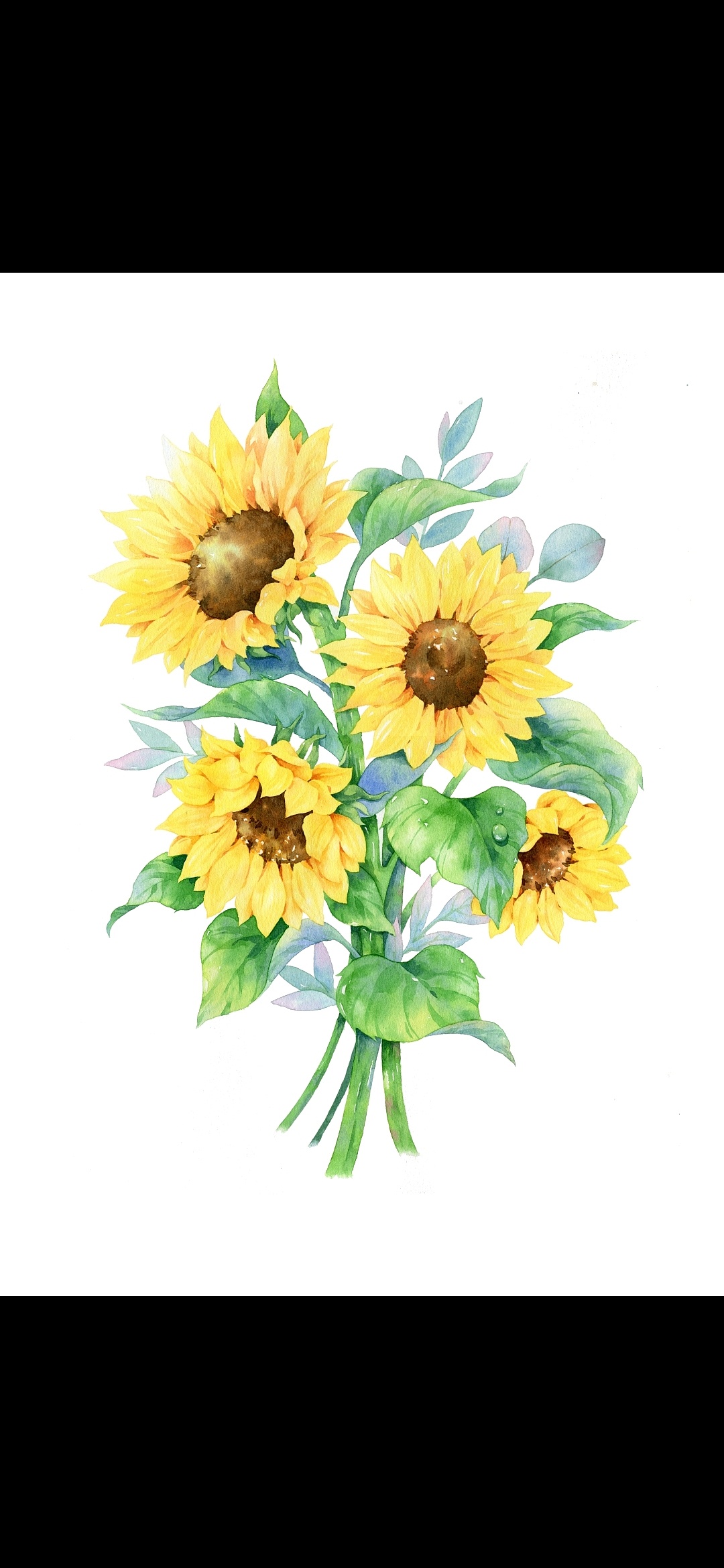 花卉水彩|插画|艺术插画|黑猫吃糖 - 原创作品 - 站酷 (zcool)