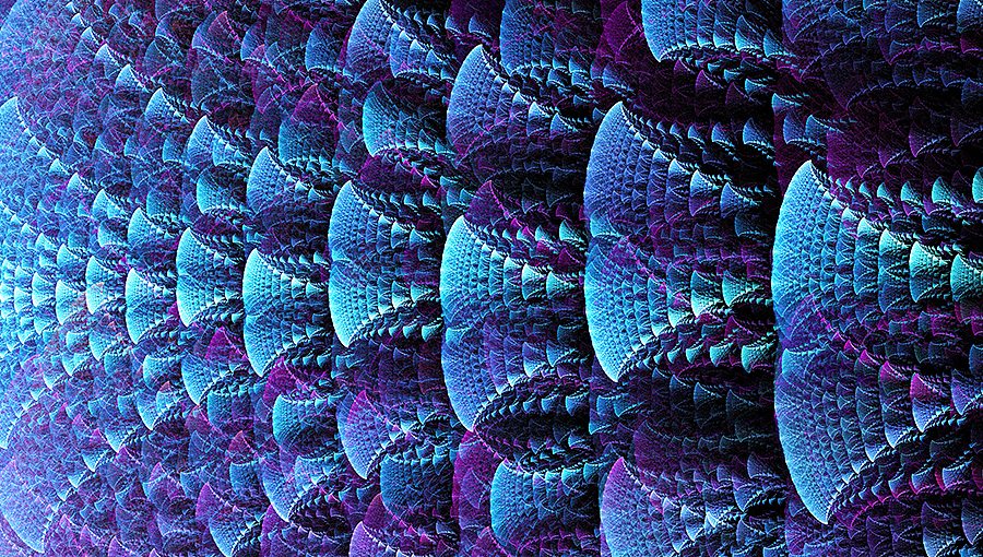 分形(Fractal)第二十七辑:花与叶