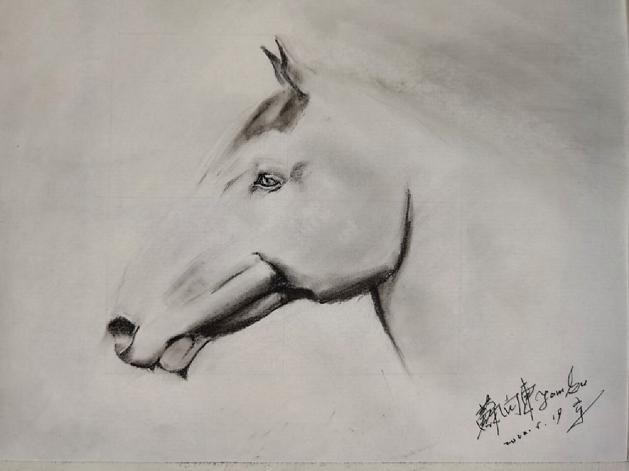 Horse Sketch by James Phua.