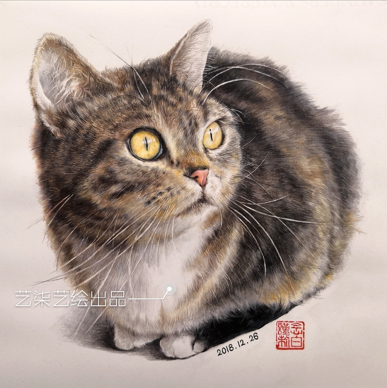 狸花猫—rinka谨制