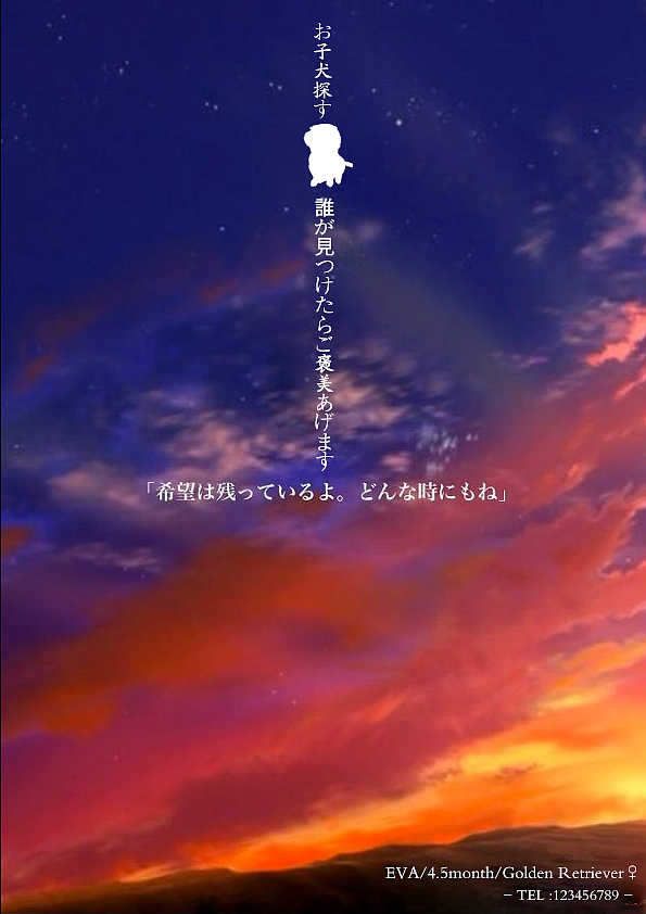 寻狗启示—EVA（图ZMjY4NzYzODQ=） - 宣传物料 - 站酷设计师修丢能原创素材 - 站酷ZCOOL