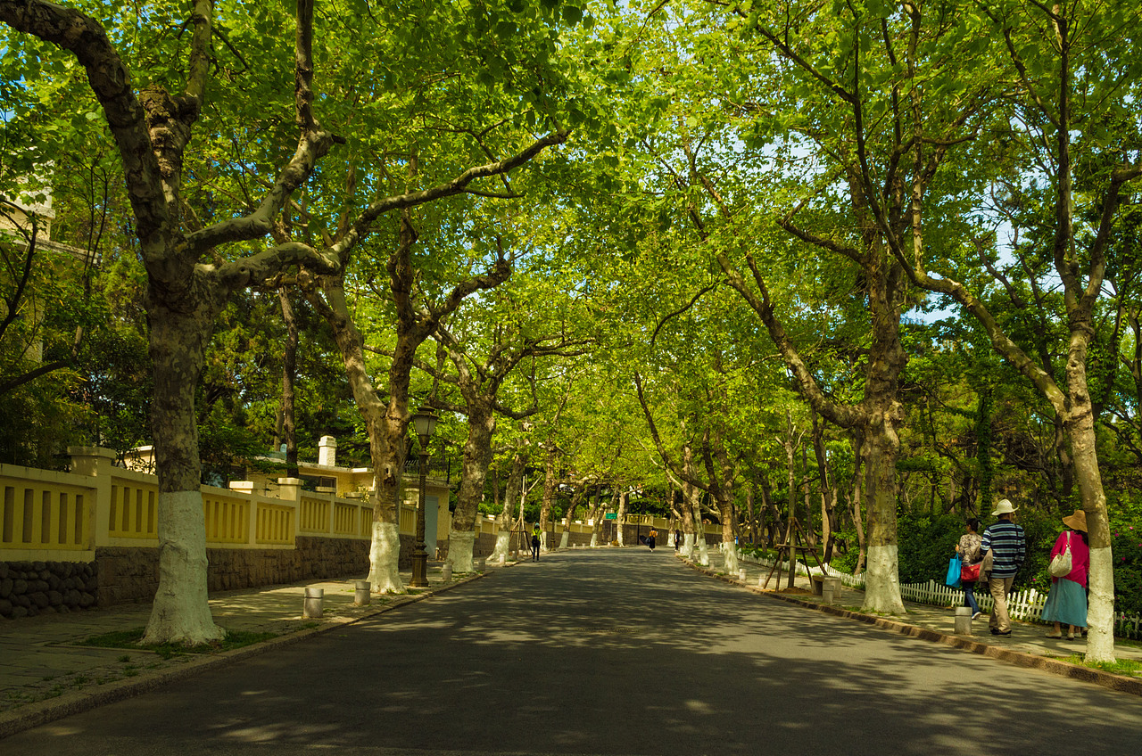 摄影后期练习（图ZNDk3NTczMDA=） - 风光摄影 - 站酷设计师秦兵剑雨原创素材 - 站酷ZCOOL