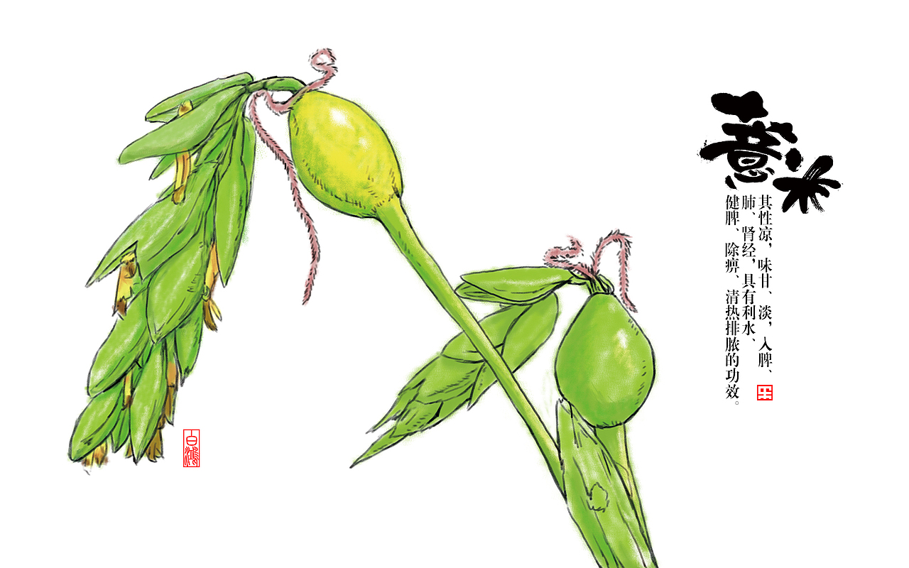 红豆薏米粉包装 字体 插画（图ZOTA3MDExMDg=） - 字体/字形 - 站酷设计师白鸿原创素材 - 站酷ZCOOL