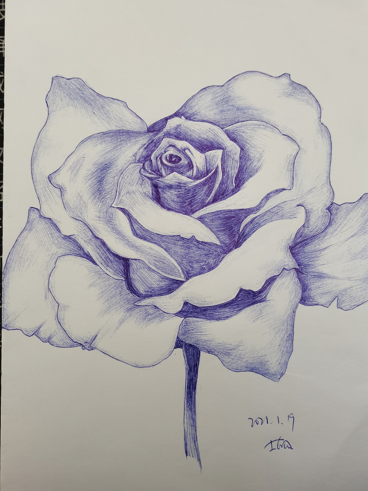 圆珠笔画|插画|创作习作|z84190705 - 临摹作品 - 站酷 (zcool)