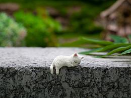 布景参考