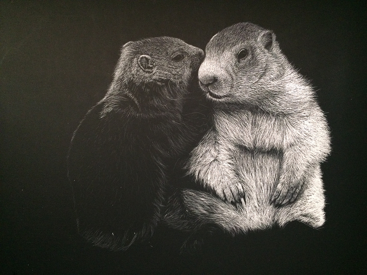 李子哥刮画作品《悄悄话》