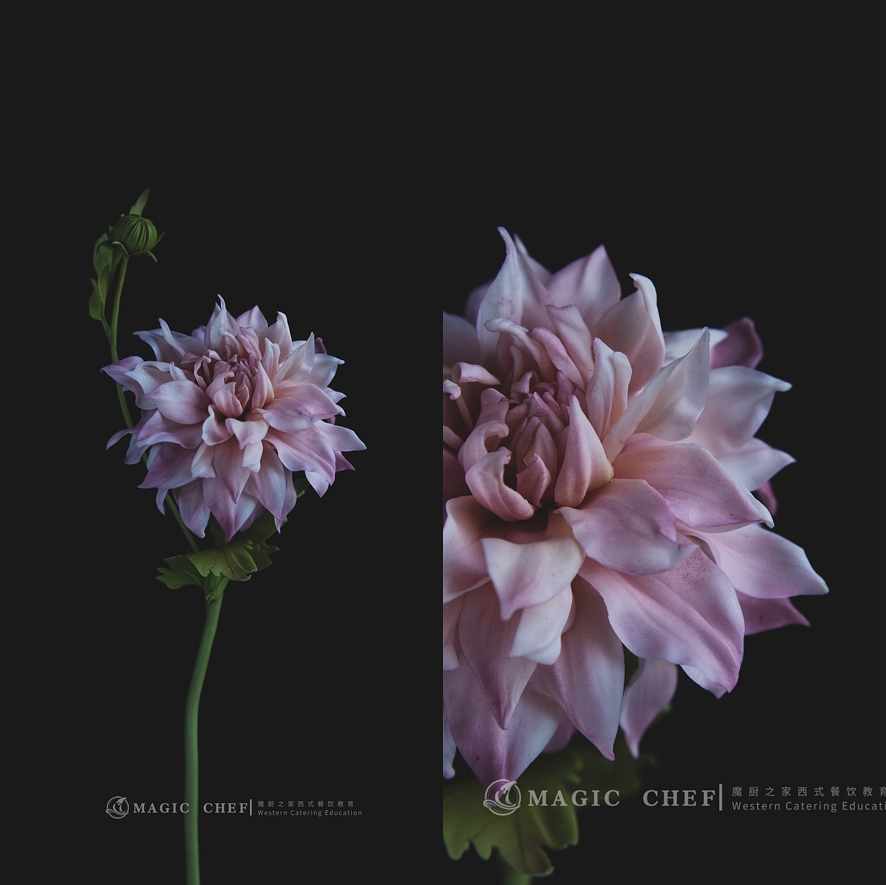 粘土手作花卉拍摄暗色系静物花卉拍摄花艺拍照花朵拍照（图ZMzAyMjI1MDg4） - 美食摄影 - 站酷设计师MOON大静原创素材 - 站酷ZCOOL