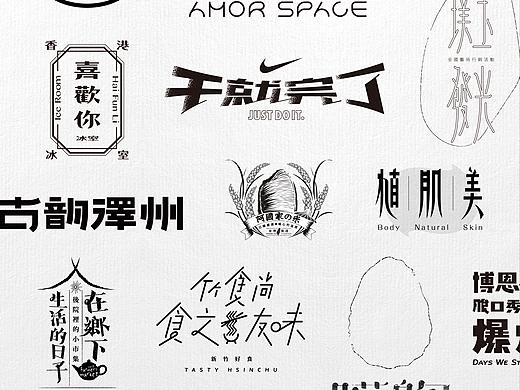 字体设计 Logotype / Typeface / Typography