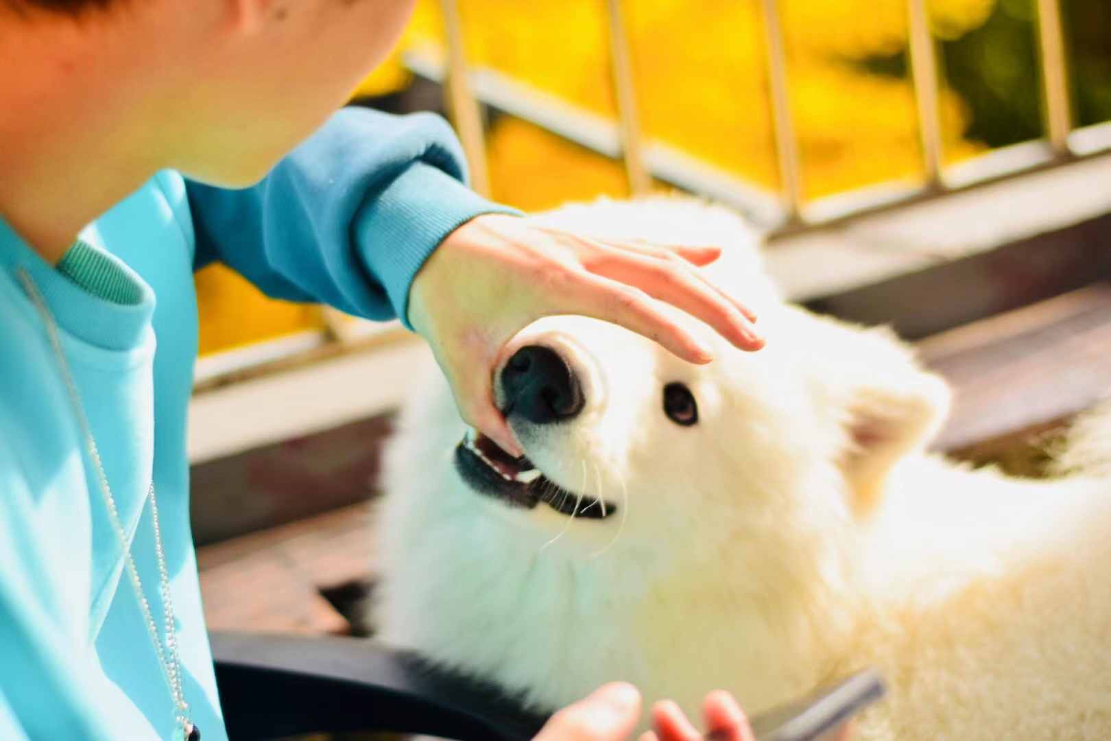 Z214818895的个人主页（背景预览） - 主页背景设置 - 站酷设计师Z214818895原创素材 - 站酷ZCOOL