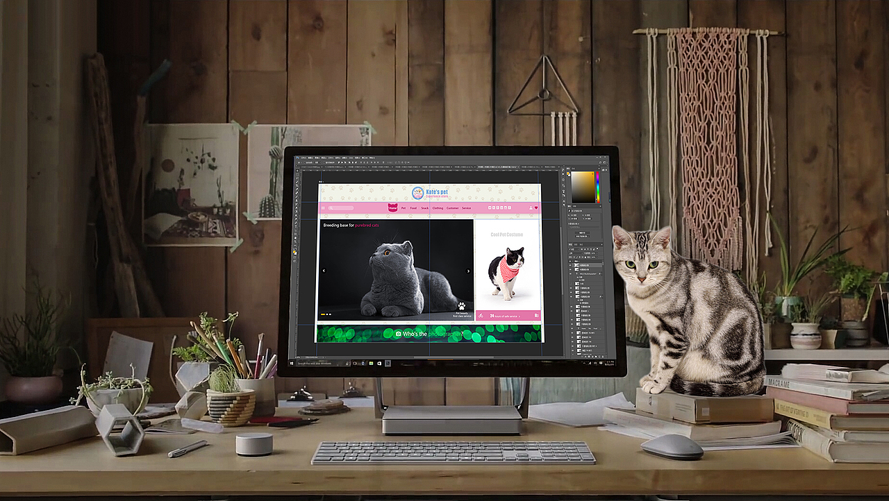 凯特宠物生活馆VI/CI设计（图ZODc4NDE3NDA=） - 品牌 - 站酷设计师尹寅111原创素材 - 站酷ZCOOL