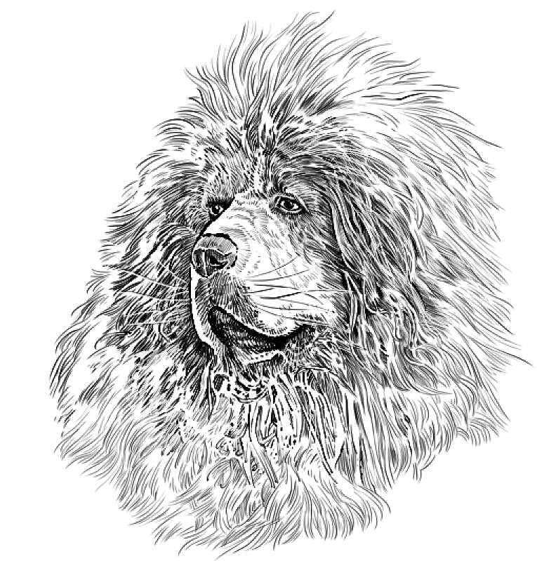 写实古风插画，写实连环画，写实漫画线稿，儿童插画（图ZMTcxMjU4Njcy） - 儿童插画 - 站酷设计师肖刚漫画原创素材 - 站酷ZCOOL