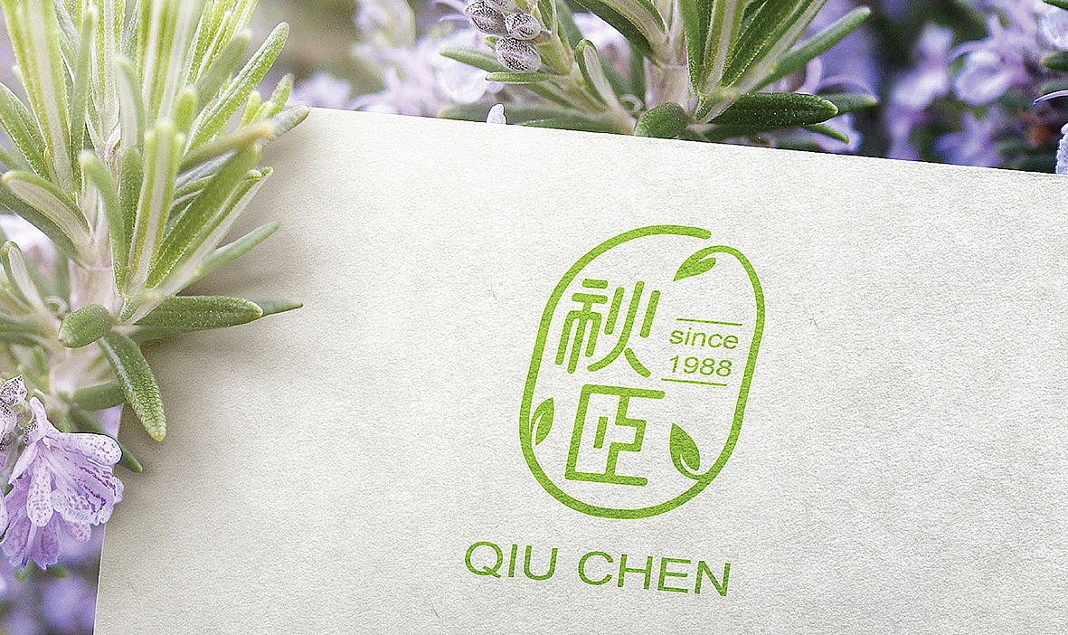 郑州上禅化妆品logo设计案例展示