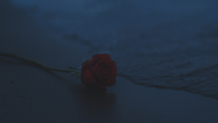 断线的个人主页（封面预览） - 主页封面设置 - 站酷设计师断线原创素材 - 站酷ZCOOL