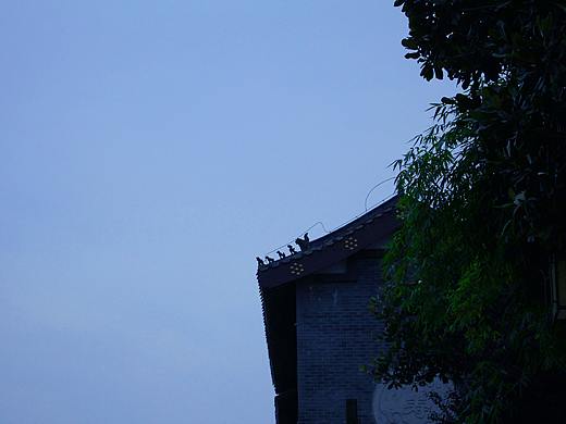 摄影（个人主页-ZMjgyMTMwMzY=） - 风光摄影 - 站酷设计师旧城细雨原创素材 - 站酷ZCOOL