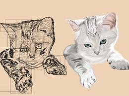 Ai矢量插畫 貓咪 漸層貓 家貓