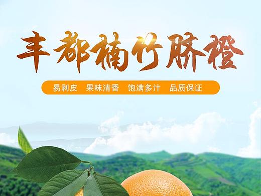 脐橙详情页
