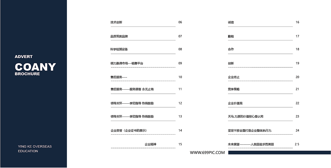 天马活塞企业画册