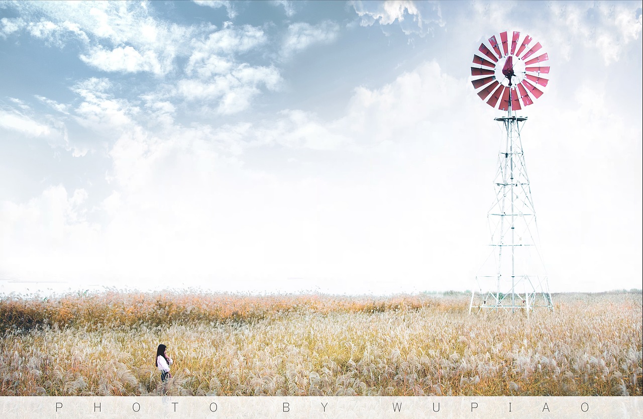 风车，芦苇（图ZMTU2ODA4MTQw） - 人像摄影 - 站酷设计师摄影师吴飘原创素材 - 站酷ZCOOL