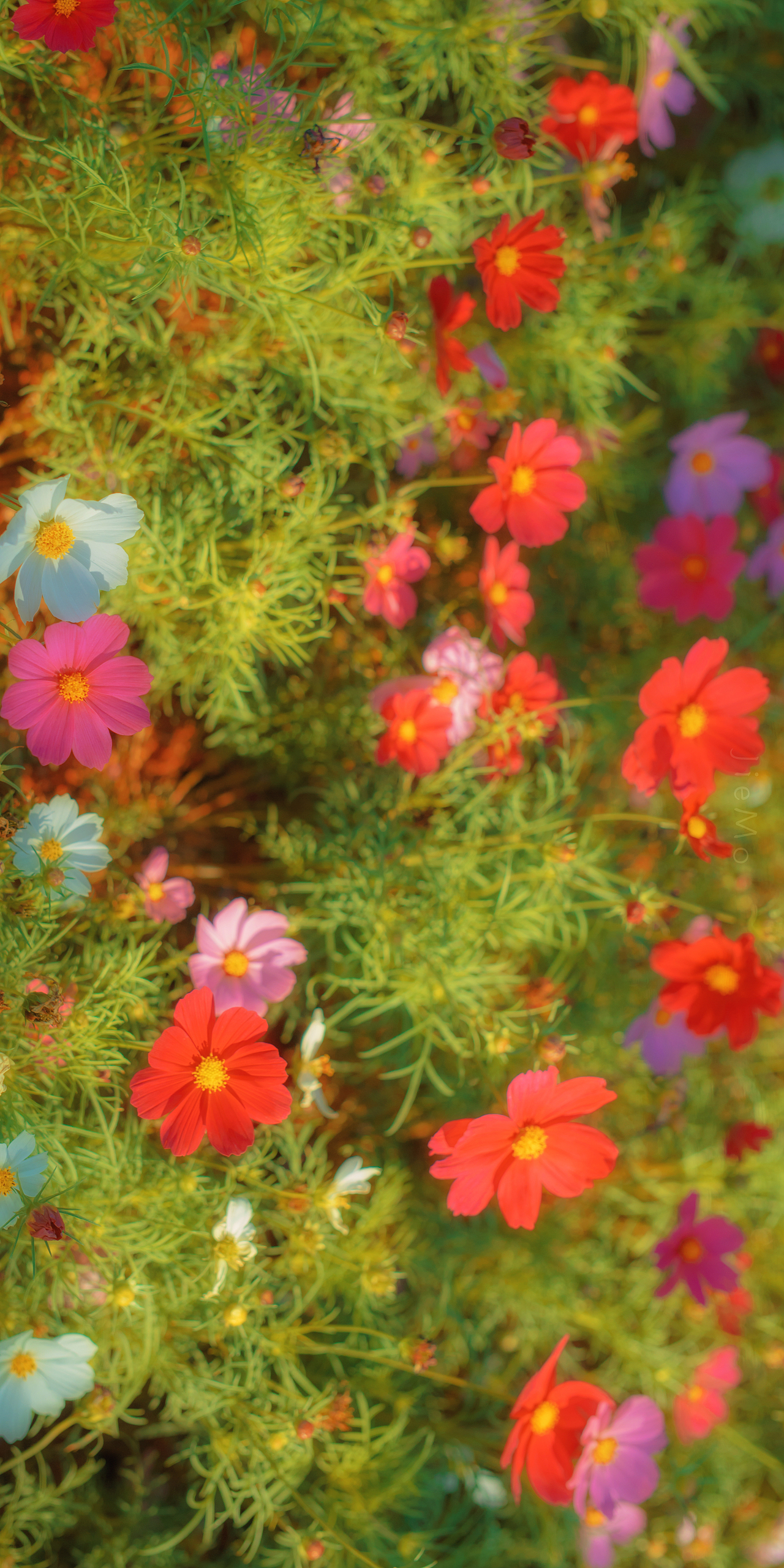 旅行片段（图ZMjg5MTY4OTg4） - 风光摄影 - 站酷设计师芥茉在拍照原创素材 - 站酷ZCOOL