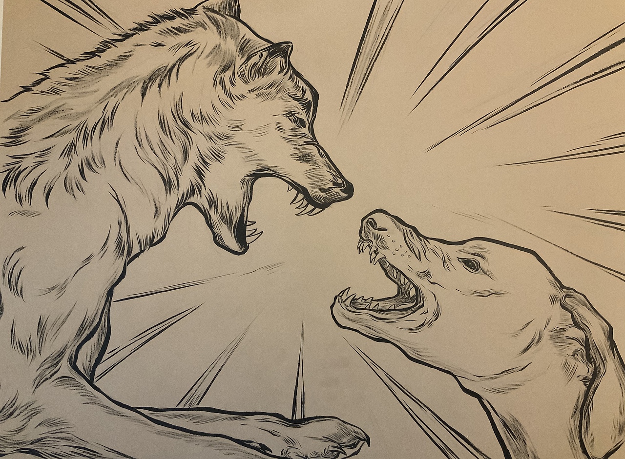 狼王梦连环画上册