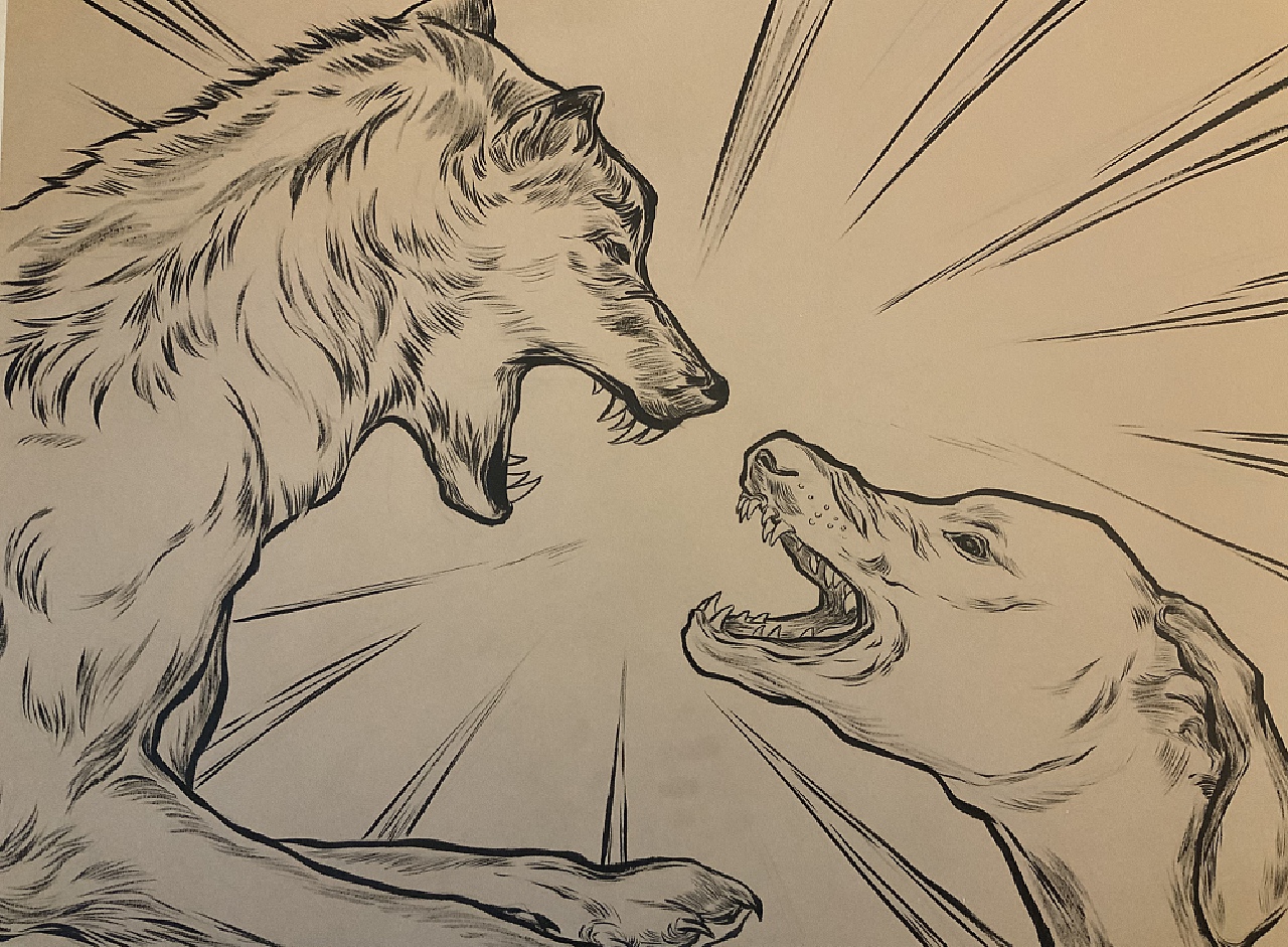 狼王梦连环画上册