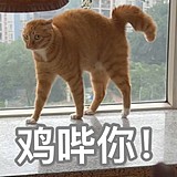 Z85652638的头像