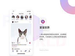 爱宠世界APP