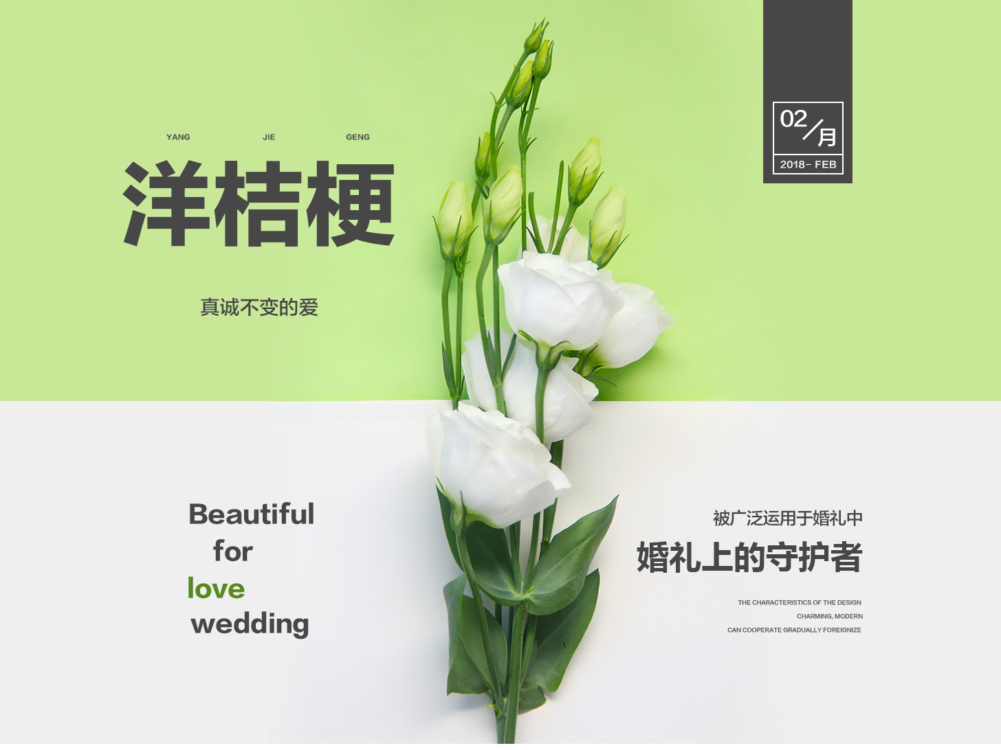 专题页洋桔梗_linli1992站酷ZCOOL