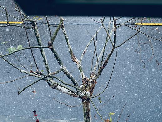 胖鱼pic | 80%的风景,都是来自你