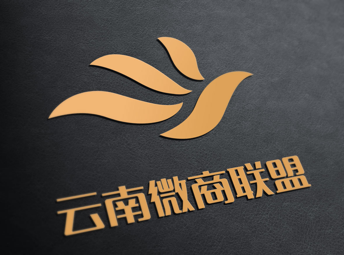 云南微商联盟 logo 设计稿
