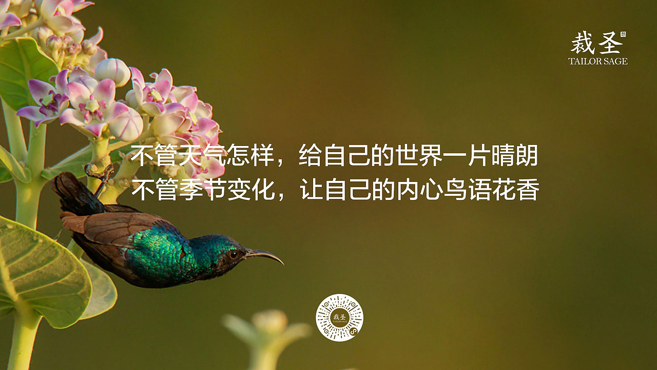 屏保（图ZMjEwOTE0NTYw） - 海报 - 站酷设计师xieshunzi原创素材 - 站酷ZCOOL