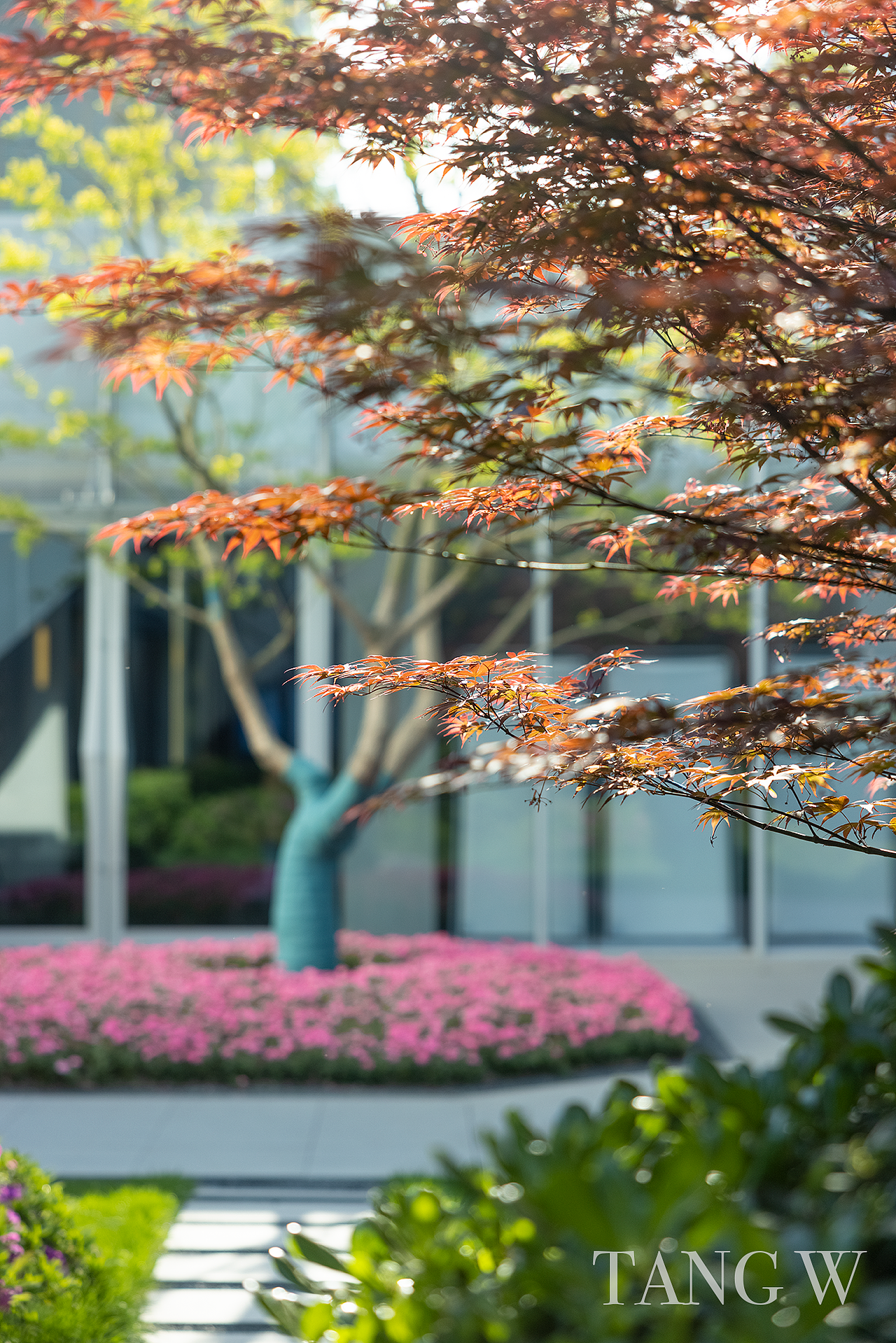 景观拍摄项目苏州湾藏璟庭