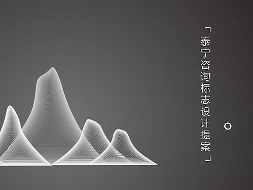 泰宁咨询有限公司LOGO提案