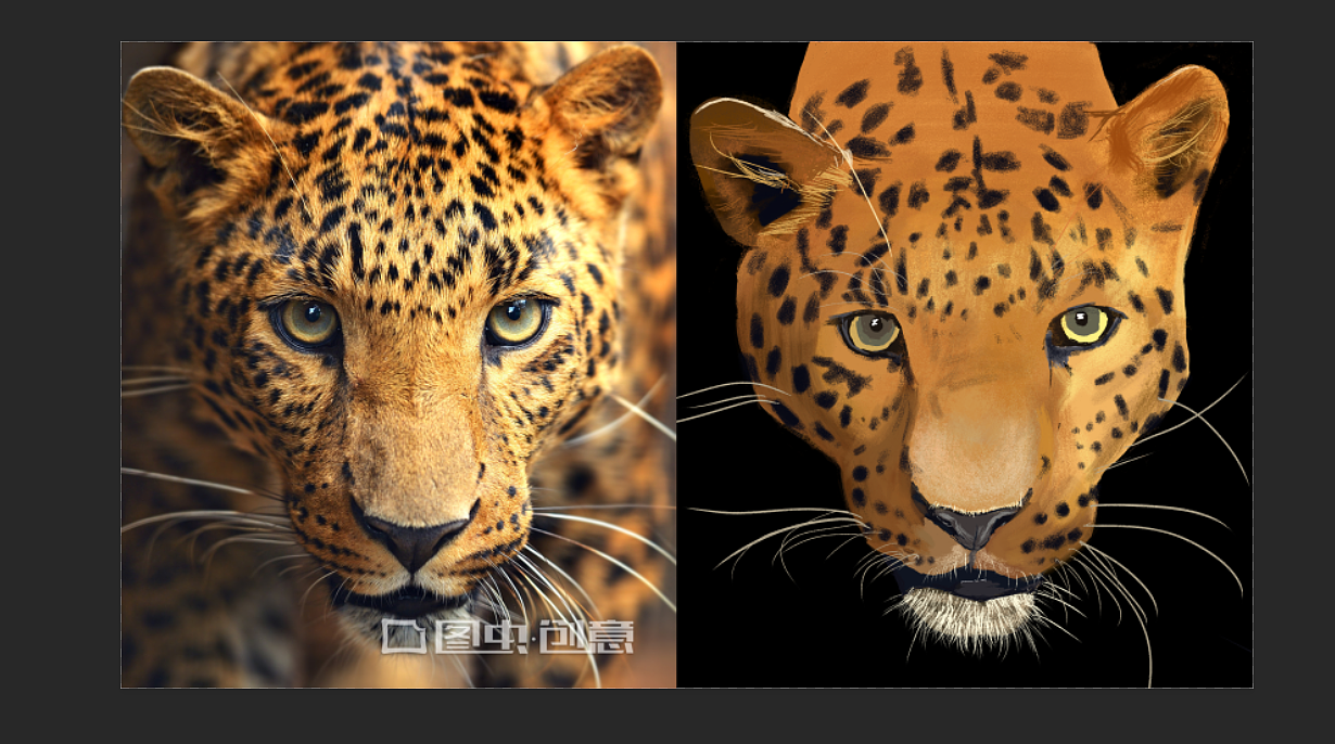 插画练习-豹（图ZMTgzOTUzMDY0） - 创作习作 - 站酷设计师西黛伯伯原创素材 - 站酷ZCOOL