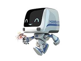 IP