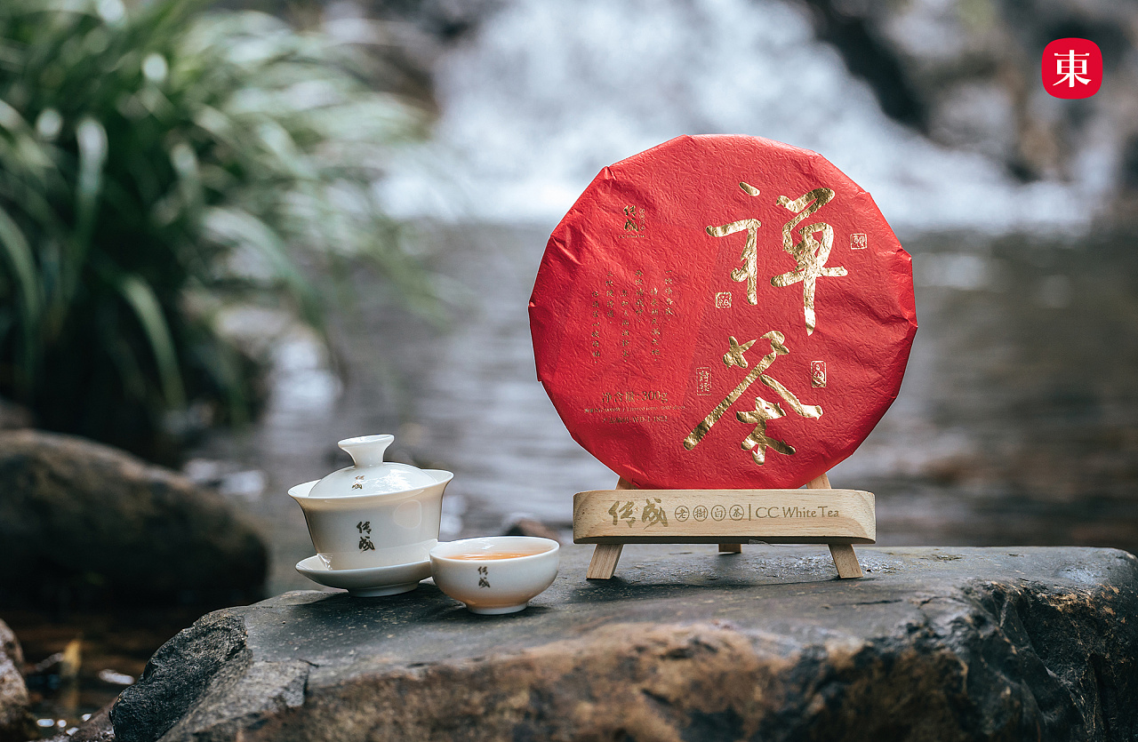 【东集tonji】传成白茶禅茶一味福鼎白茶寿眉茶饼