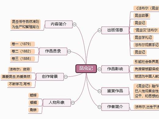 昆虫记思维模板